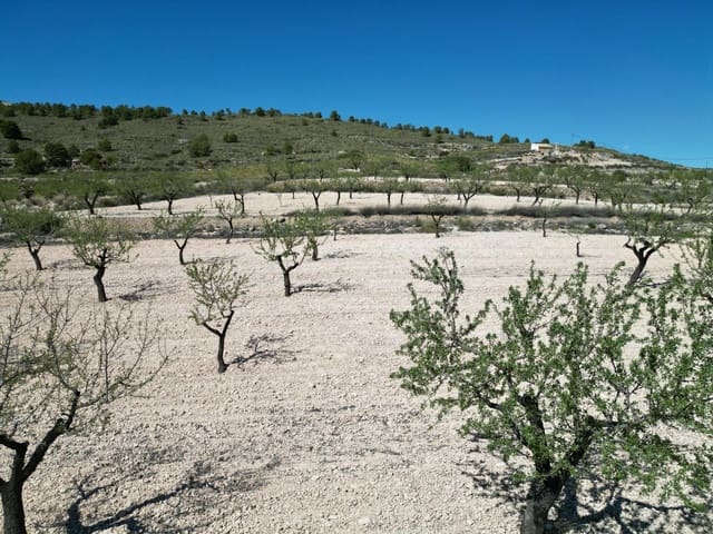 Landgrundstück zu verkaufen in Pinoso - 34.950 € (Ref: 10072837)