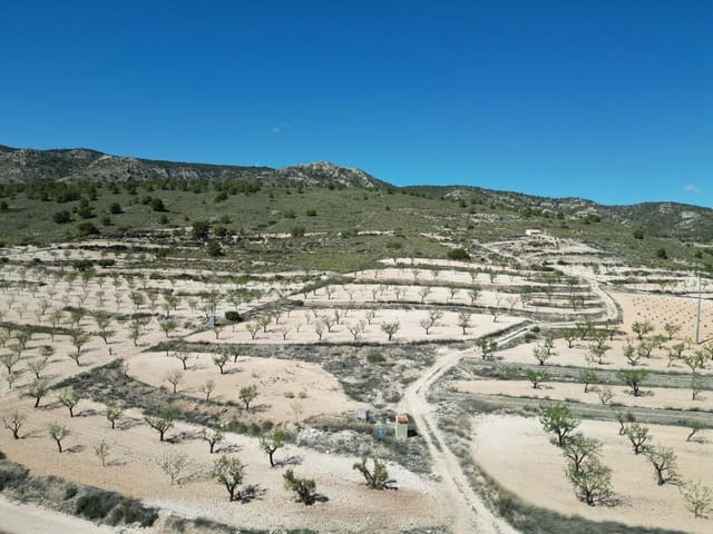 Landgrundstück zu verkaufen in Pinoso - 34.950 € (Ref: 10072837)