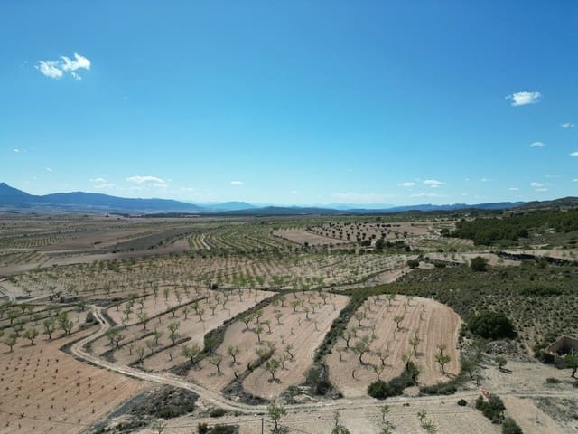 Landgrundstück zu verkaufen in Pinoso - 34.950 € (Ref: 10072837)