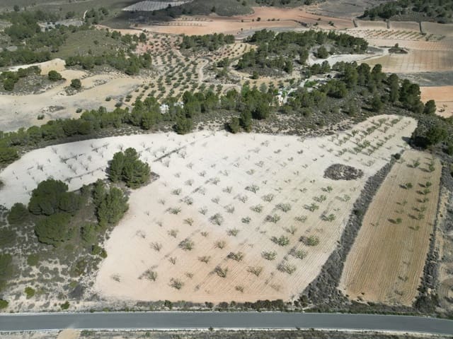 Terreno/Finca Rústica en La Zarza, Jumilla en venta - 80.000 € (Ref: 10072838)