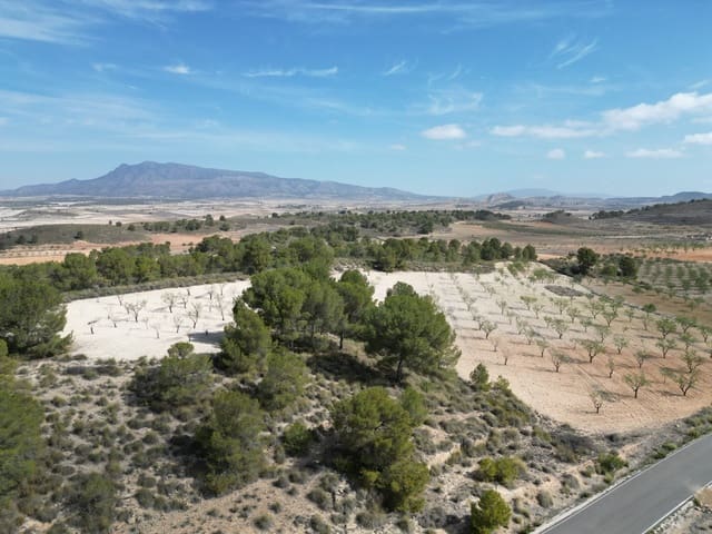 Terreno/Finca Rústica en La Zarza, Jumilla en venta - 80.000 € (Ref: 10072838)