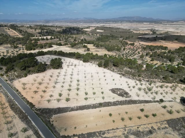 Terreno/Finca Rústica en La Zarza, Jumilla en venta - 80.000 € (Ref: 10072838)