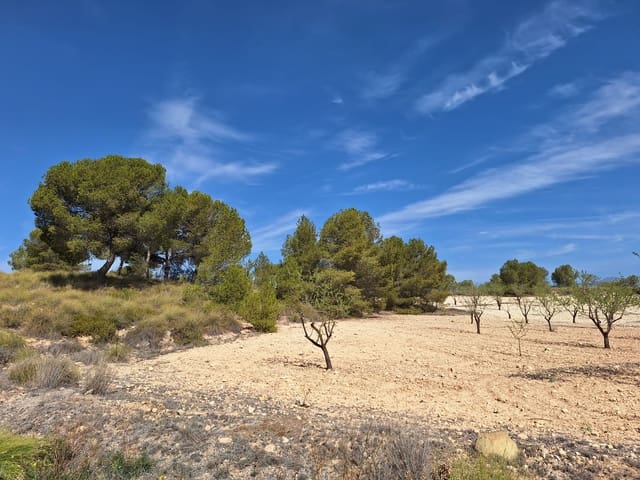 Terreno/Finca Rústica en La Zarza, Jumilla en venta - 80.000 € (Ref: 10072838)