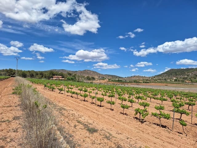 Landgrundstück zu verkaufen in Pinoso - 80.000 € (Ref: 10072839)