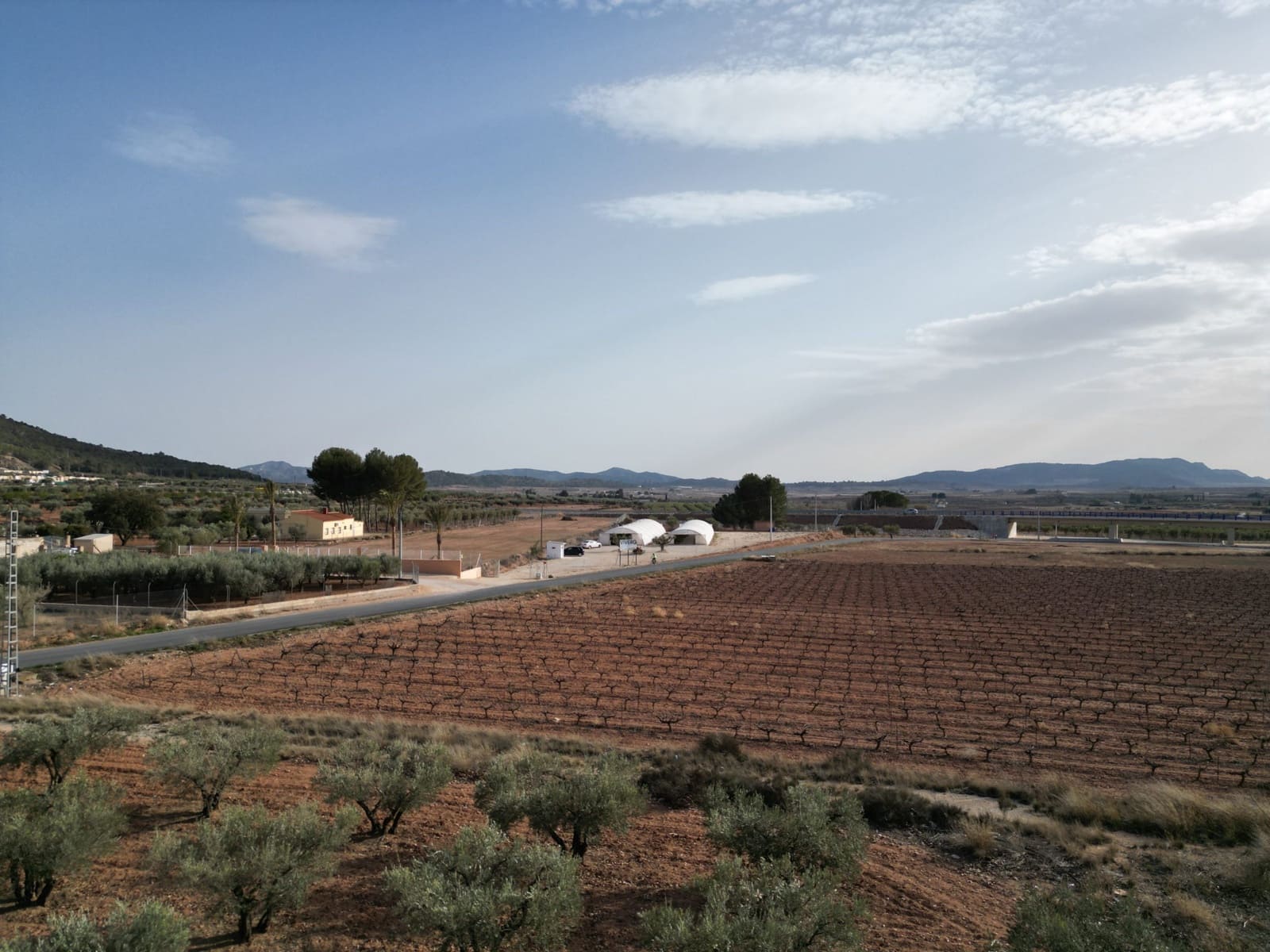 Landgrundstück zu verkaufen in Pinoso - 75.000 € (Ref: 10072841)