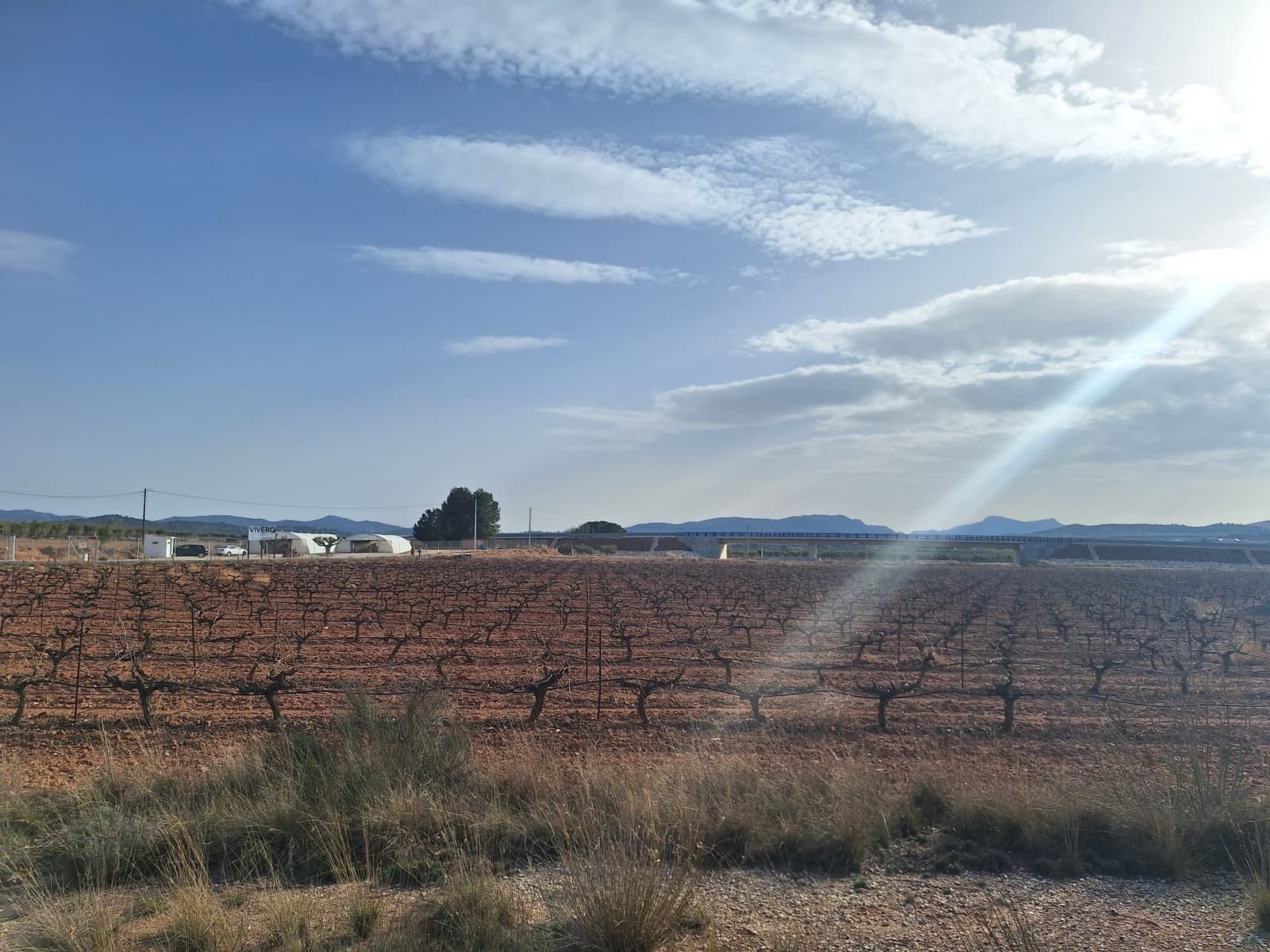 Landgrundstück zu verkaufen in Pinoso - 75.000 € (Ref: 10072841)