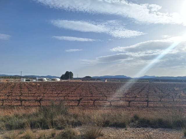 Landgrundstück zu verkaufen in Pinoso - 75.000 € (Ref: 10072841)