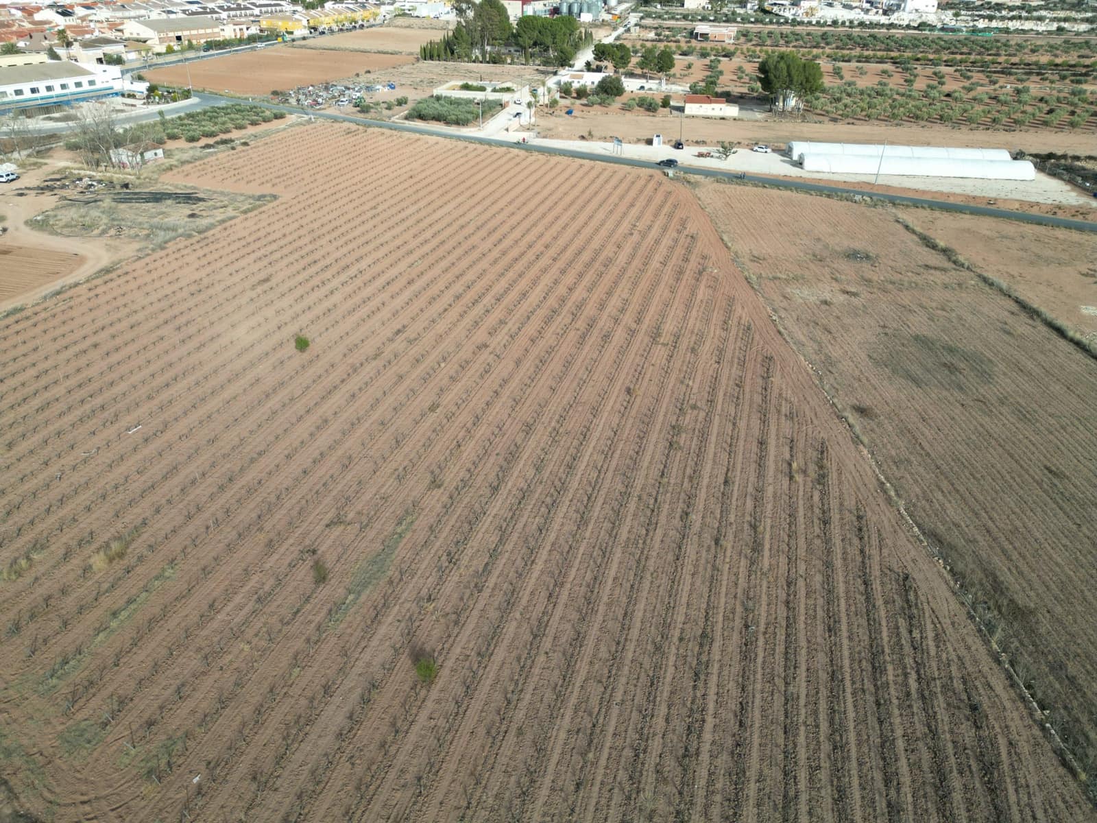 Landgrundstück zu verkaufen in Pinoso - 75.000 € (Ref: 10072841)