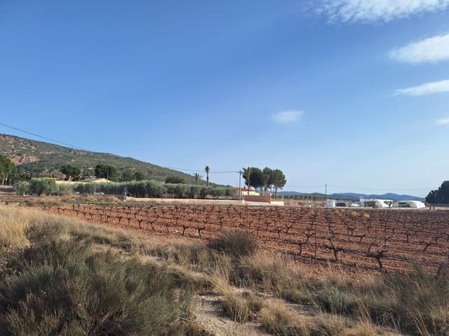 Landgrundstück zu verkaufen in Pinoso - 75.000 € (Ref: 10072841)