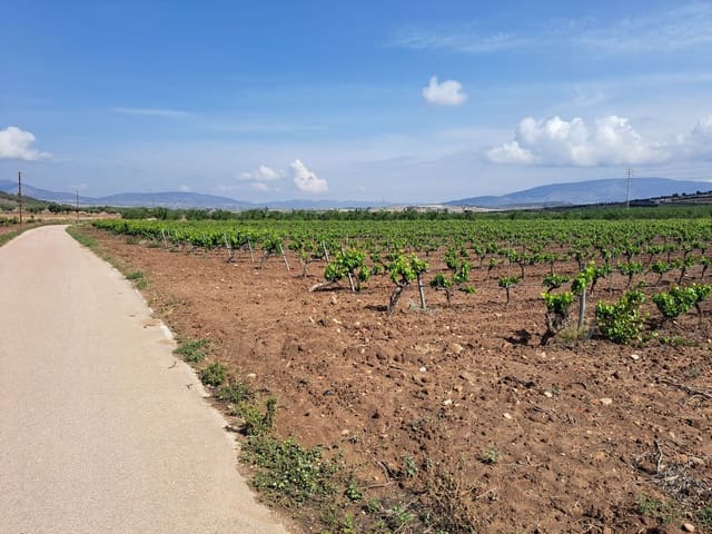 Landgrundstück zu verkaufen in Pinoso - 65.000 € (Ref: 10072842)