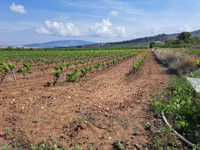 Landgrundstück zu verkaufen in Pinoso - 65.000 € (Ref: 10072842)