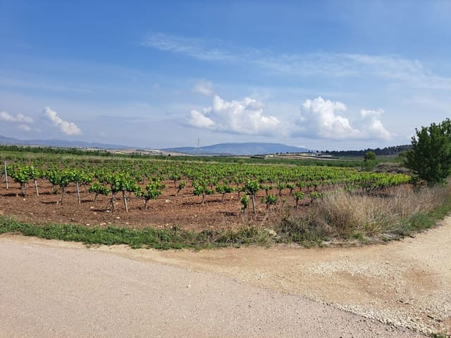 Landgrundstück zu verkaufen in Pinoso - 65.000 € (Ref: 10072842)