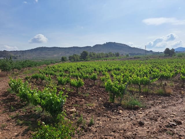 Landgrundstück zu verkaufen in Pinoso - 65.000 € (Ref: 10072842)