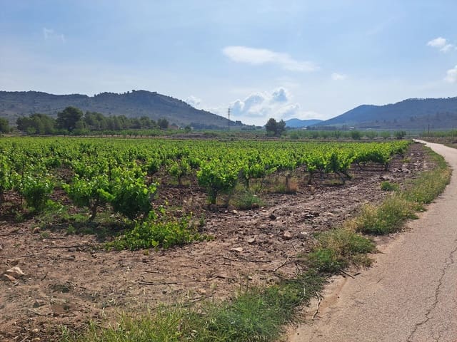 Landgrundstück zu verkaufen in Pinoso - 65.000 € (Ref: 10072842)
