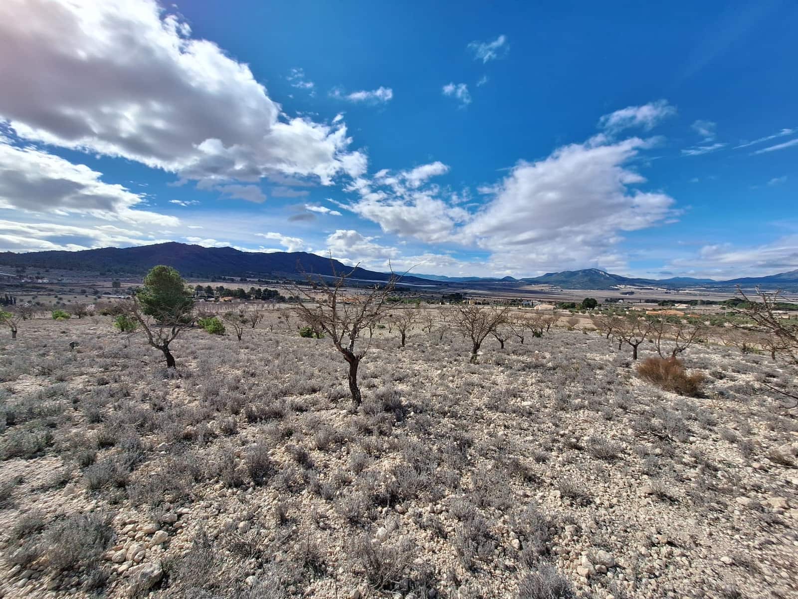 Landgrundstück zu verkaufen in Salinas - 55.000 € (Ref: 10072843)