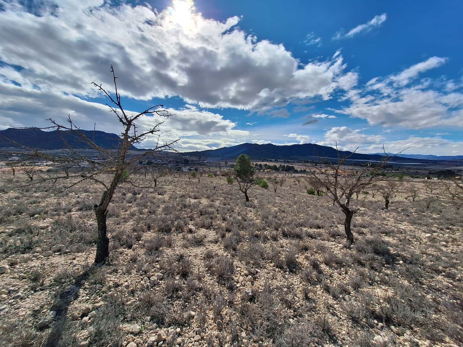 Landgrundstück zu verkaufen in Salinas - 55.000 € (Ref: 10072843)
