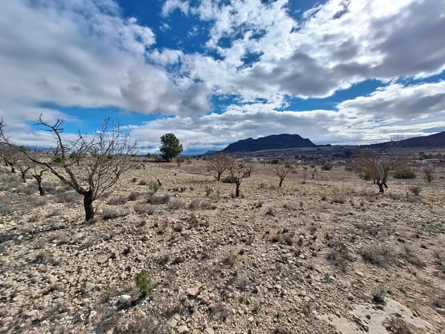 Landgrundstück zu verkaufen in Salinas - 55.000 € (Ref: 10072843)