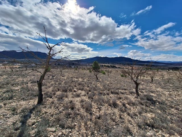 Landgrundstück zu verkaufen in Salinas - 55.000 € (Ref: 10072843)