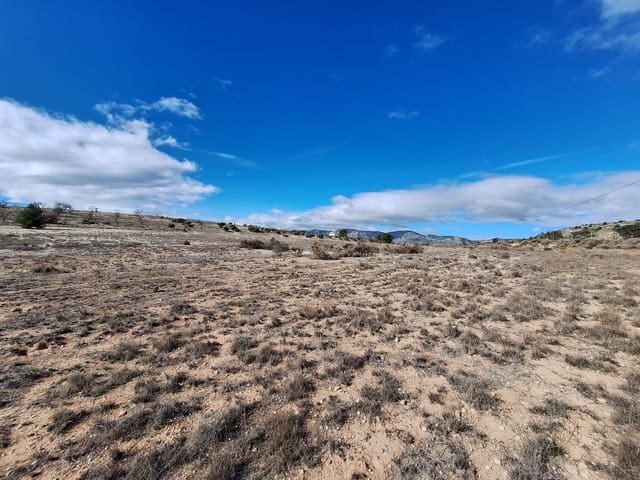 Landgrundstück zu verkaufen in Salinas - 55.000 € (Ref: 10072843)