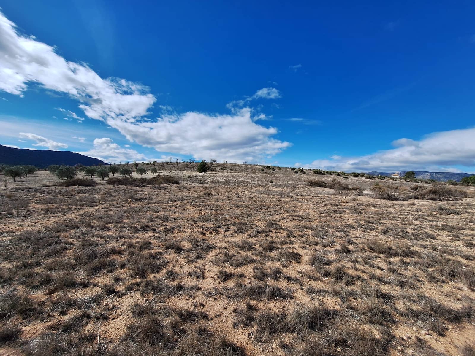 Landgrundstück zu verkaufen in Salinas - 55.000 € (Ref: 10072843)