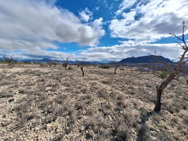 Landgrundstück zu verkaufen in Salinas - 55.000 € (Ref: 10072843)