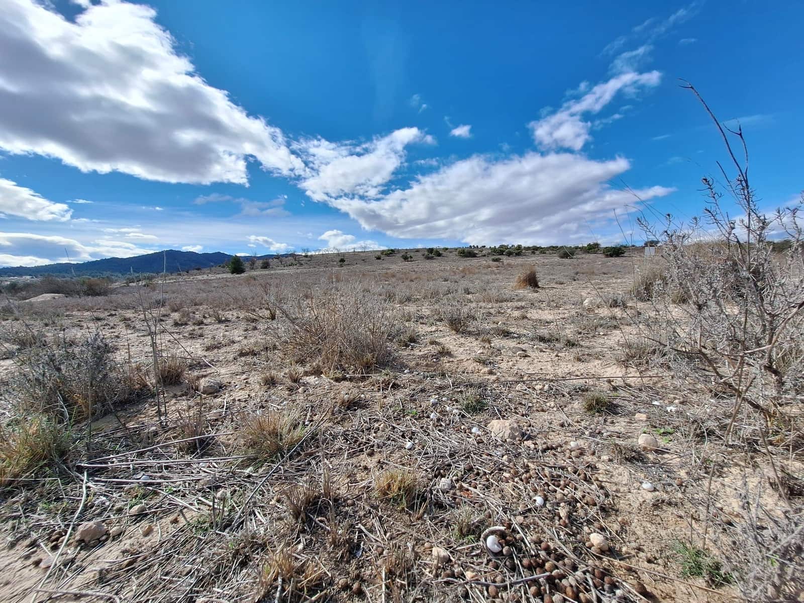 Landgrundstück zu verkaufen in Salinas - 55.000 € (Ref: 10072843)