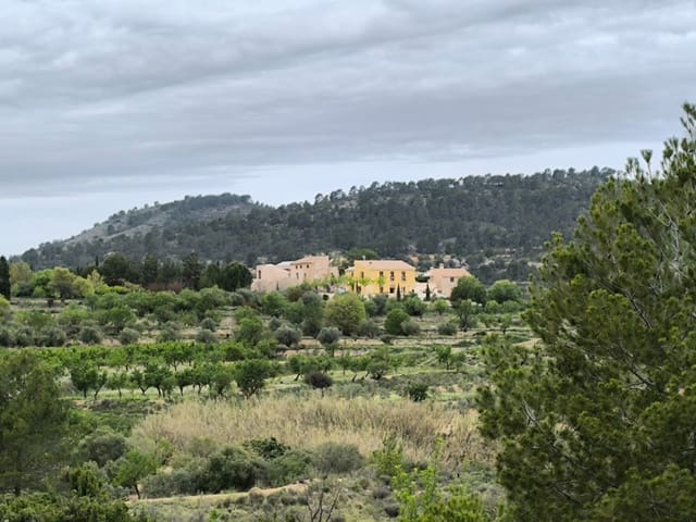 4 bedroom Finca/Country House for sale in Casas del Senor, Monóvar / Monóver - € 29,995 (Ref: 10074626)