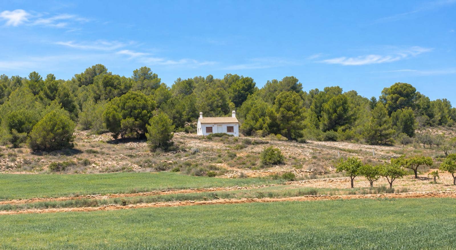 Finca/Hus på landet till salu i Encebras - 125 000 € (Ref: 10077298)
