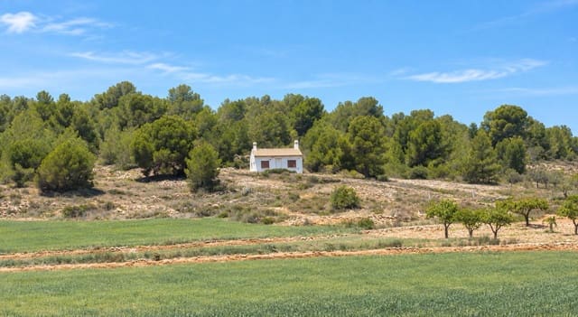 Finca/Herregård til salgs i Encebras, Pinoso - € 125 000 (Ref: 10077298)