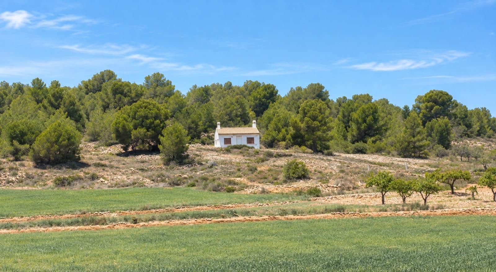 Finca/Country House for sale in Encebras - € 131,000 (Ref: 10077298)