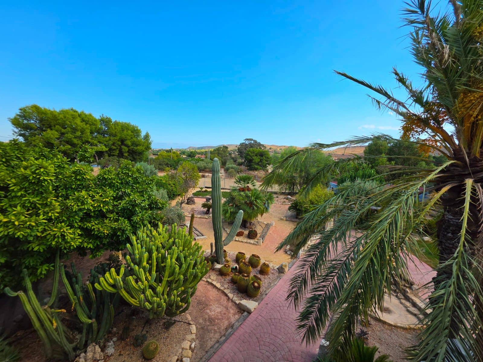 6 bedroom Finca/Country House for sale in Elche / Elx with pool garage - € 850,000 (Ref: 10089967)