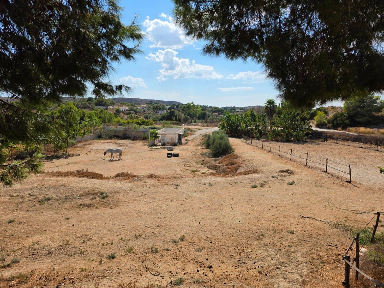 6 bedroom Finca/Country House for sale in Elche / Elx with pool garage - € 850,000 (Ref: 10089967)