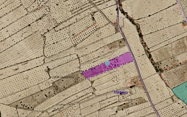Terreno/Finca Rústica en Pinoso en venta - 30.260 € (Ref: 10091434)