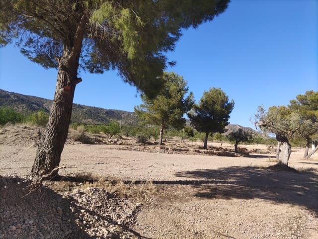 Terreno/Finca Rústica en Pinoso en venta - 30.260 € (Ref: 10091434)