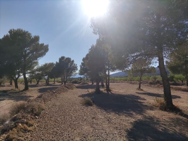 Terreno/Finca Rústica en Pinoso en venta - 30.260 € (Ref: 10091434)