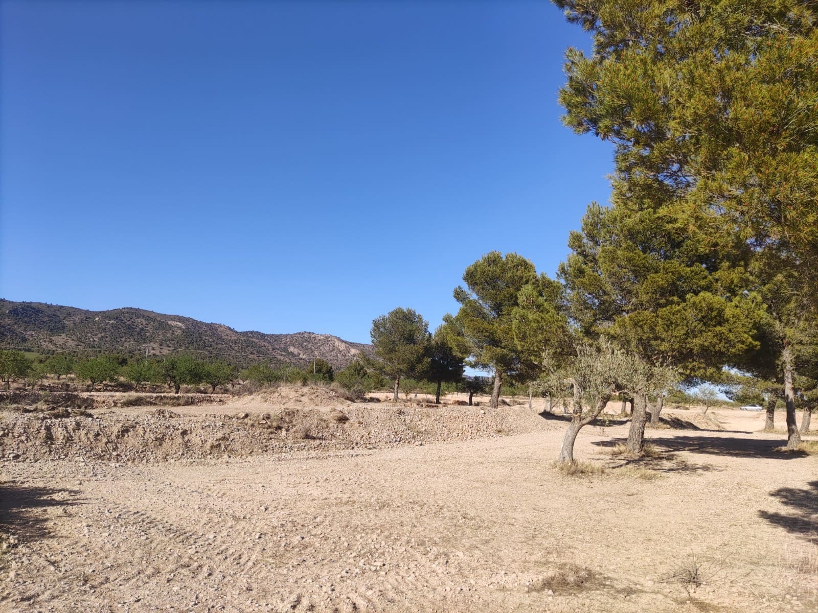 Terreno/Finca Rústica en Pinoso en venta - 30.260 € (Ref: 10091434)