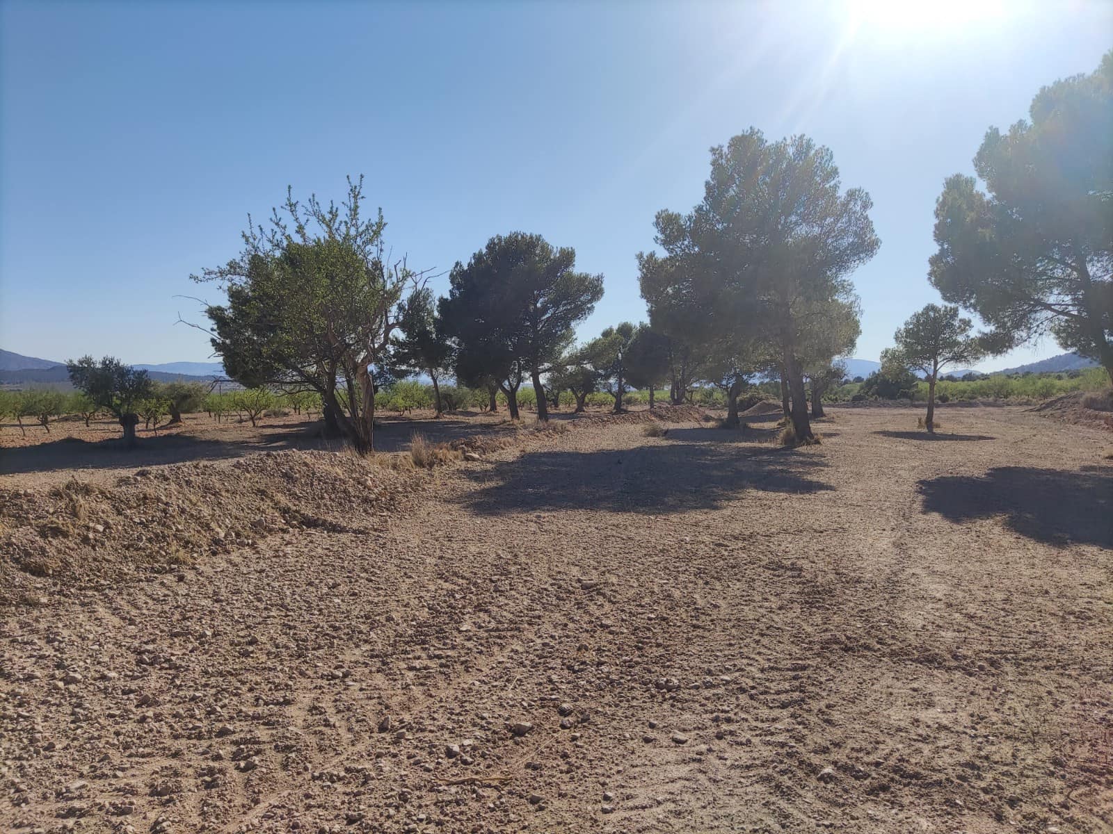 Terreno/Finca Rústica en Pinoso en venta - 30.260 € (Ref: 10091434)