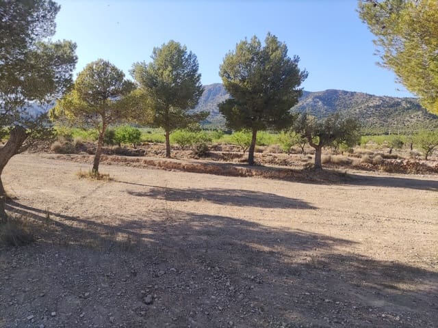 Terreno/Finca Rústica en Pinoso en venta - 30.260 € (Ref: 10091434)