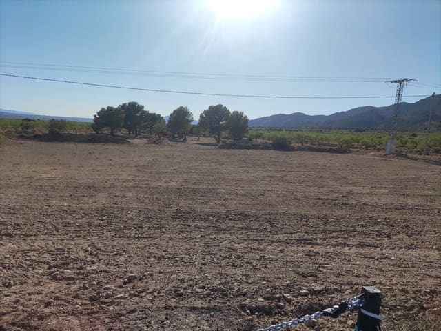Terreno/Finca Rústica en Pinoso en venta - 30.260 € (Ref: 10091434)