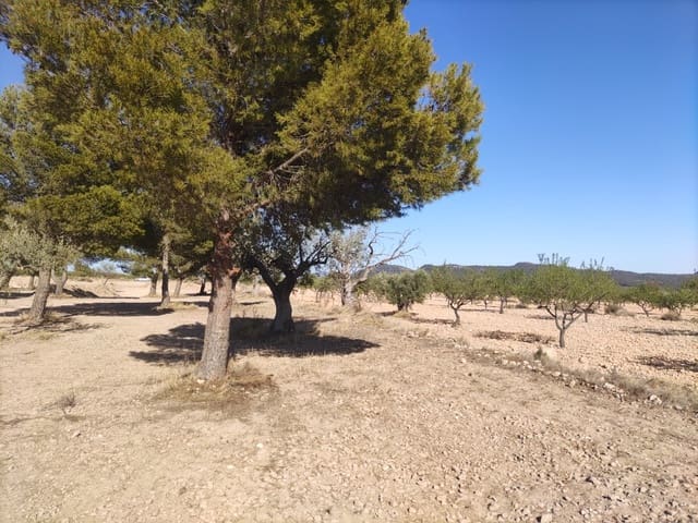 Terreno/Finca Rústica en Pinoso en venta - 30.260 € (Ref: 10091434)