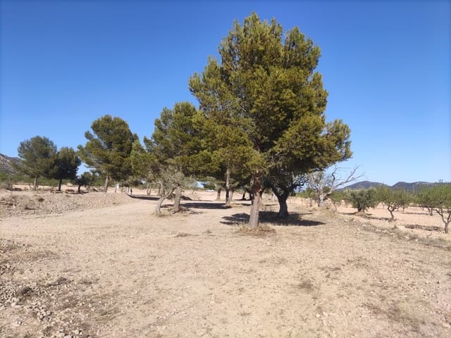 Terreno/Finca Rústica en Pinoso en venta - 30.260 € (Ref: 10091434)