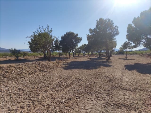 Terreno/Finca Rústica en Pinoso en venta - 30.260 € (Ref: 10091434)