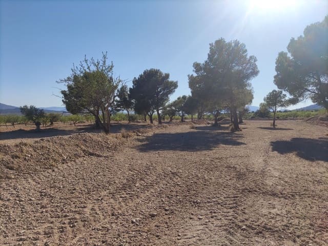 Mark till salu i Pinoso - 30 260 € (Ref: 10091434)