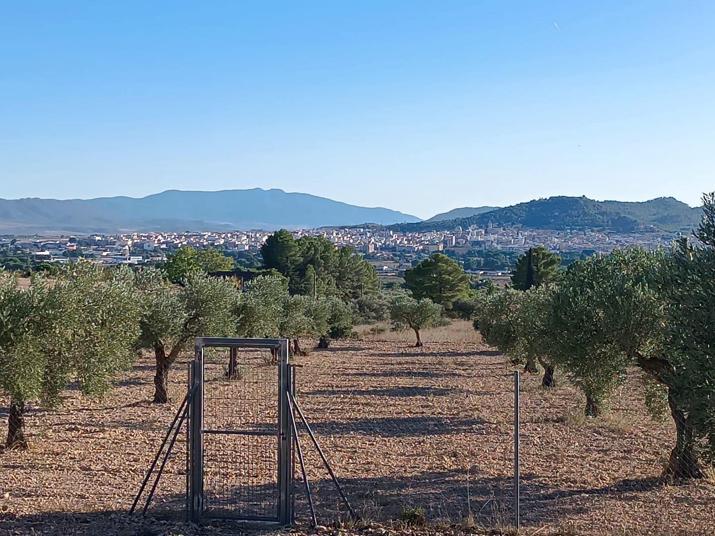 Finca/Casa Rural de 5 habitaciones en Yecla en venta con garaje - 268.000 € (Ref: 10101063)