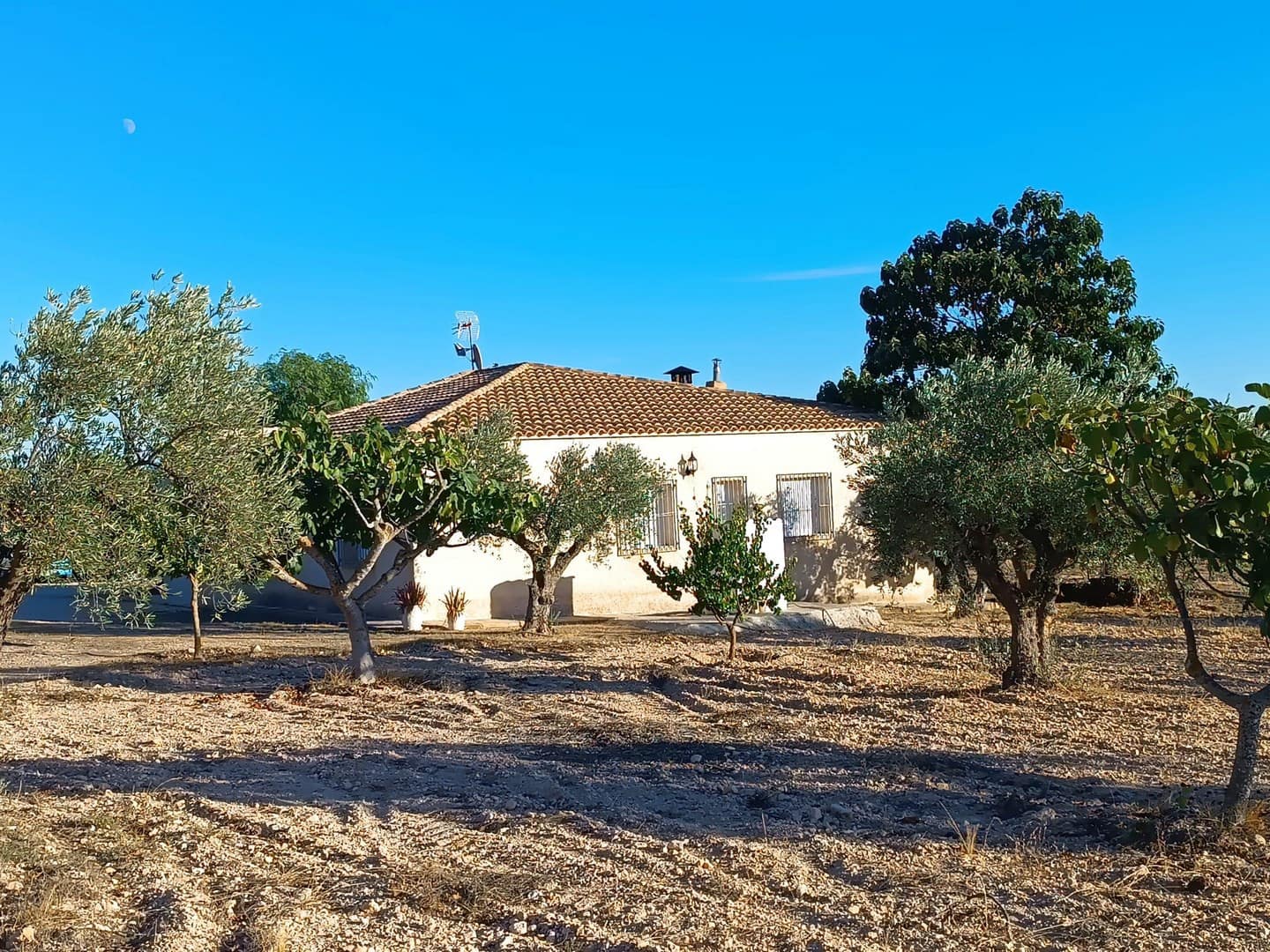 Finca/Casa Rural de 5 habitaciones en Yecla en venta con garaje - 268.000 € (Ref: 10101063)