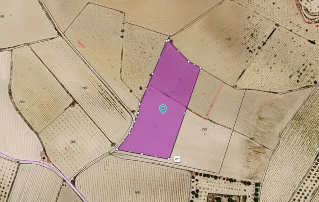 Terreno/Finca Rústica en Pinoso en venta - 29.000 € (Ref: 10113492)