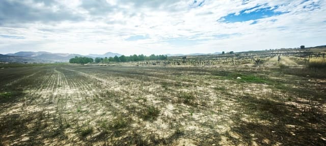 Grond te koop in Pinoso - € 29.000 (Ref: 10113492)