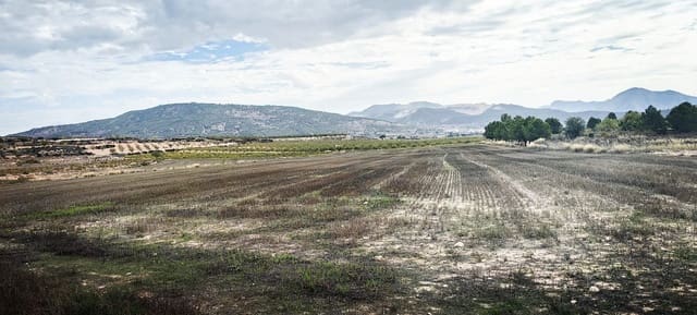 Grond te koop in Pinoso - € 29.000 (Ref: 10113492)