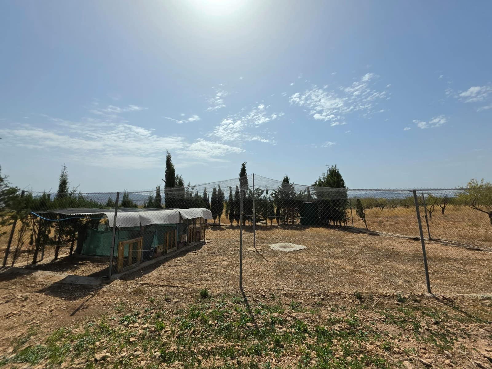 3 soveværelse Finca/Landehus til salg i Jumilla med garage - € 135.995 (Ref: 10133708)
