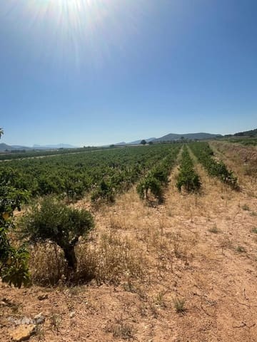 Grunde uden byggetilladelser til salg i Ubeda, Pinoso - € 222.000 (Ref: 10133713)